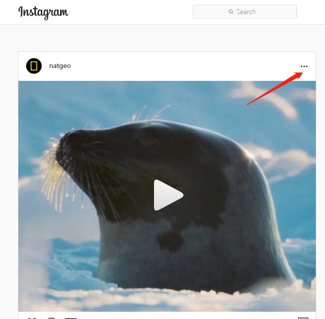 get instagram image or video url